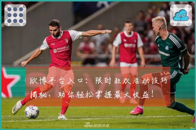 欧博平台入口：限时狂欢活动技巧揭秘，助你轻松掌握最大收益！