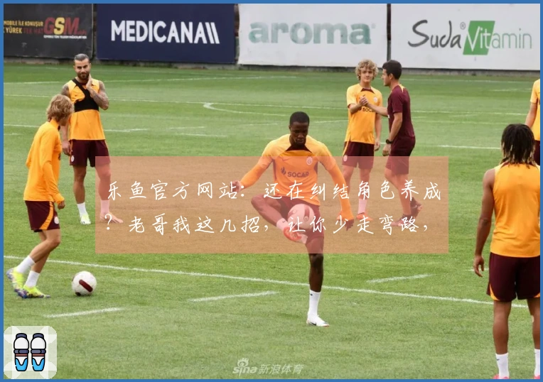 乐鱼官方网站：还在纠结角色养成？老哥我这几招，让你少走弯路，收益最大化！