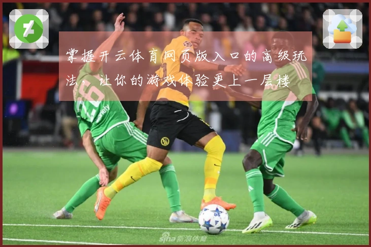 掌握开云体育网页版入口的高级玩法，让你的游戏体验更上一层楼